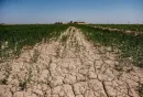 تورم اقلیمی، چالش جدید بانک مرکزی