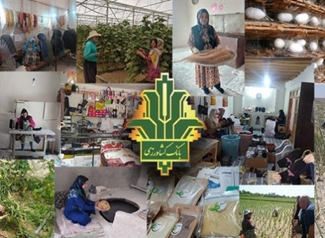 افزایش اعتبار طرح «تأمین مالی خرد» بانک کشاورزی به ۷۰۰۰ میلیارد ریال