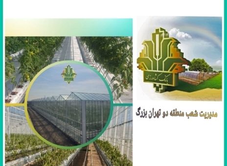 سرمایه‌گذاری ۱۰۰۰ میلیاردی بانک کشاورزی در یک طرح مدرن گلخانه‌ای