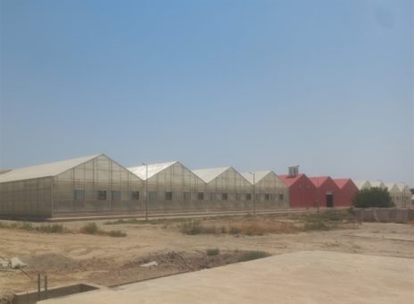 احداث گلخانه تهران گلشید در شهرستان پیشوا با حمایت بانک کشاورزی