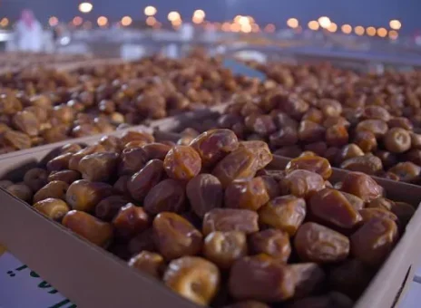 خودروساز در مسیر صادرات خرما!