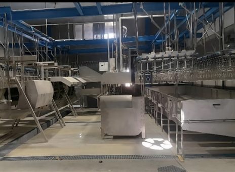 بهره برداری از کشتارگاه صنعتی طیور در استان کردستان با حمایت بانک کشاورزی