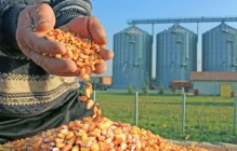 امنیت غذایی