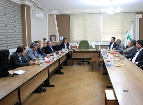 بیمه دانا