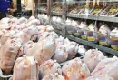 تولید مرغ و تخم مرغ