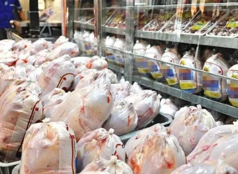 تولید مرغ و تخم مرغ