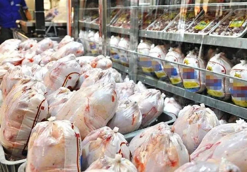 تولید مرغ و تخم مرغ