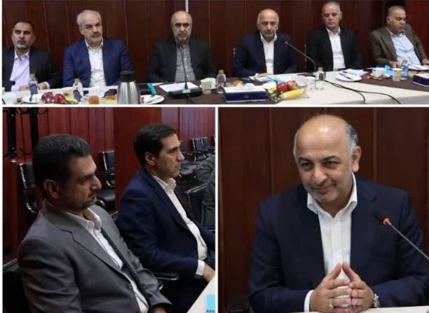 بیمه دی