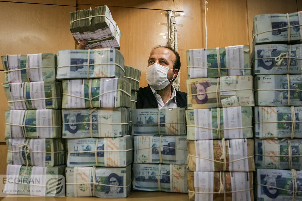 جراحی اقتصادی