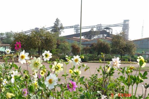 فولاد خوزستان