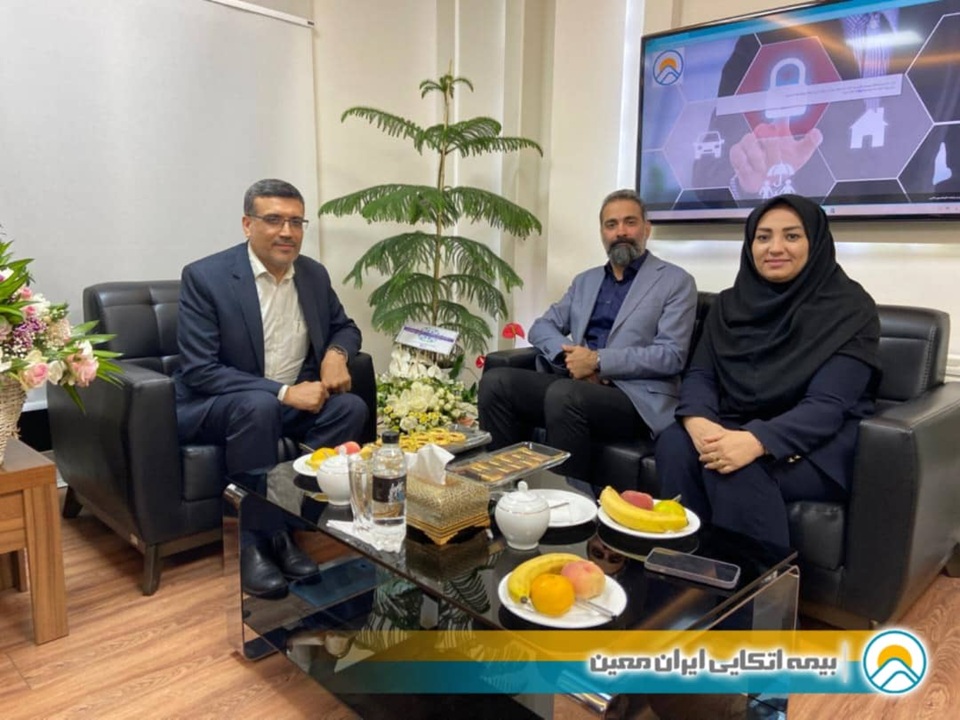 بیمه اتکایی ایران‌معین