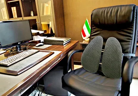 مدیریت دولتی