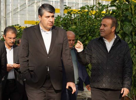 بانک توسعه صادرات