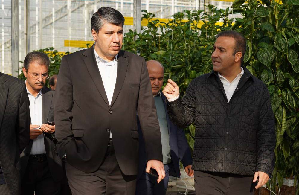 بانک توسعه صادرات