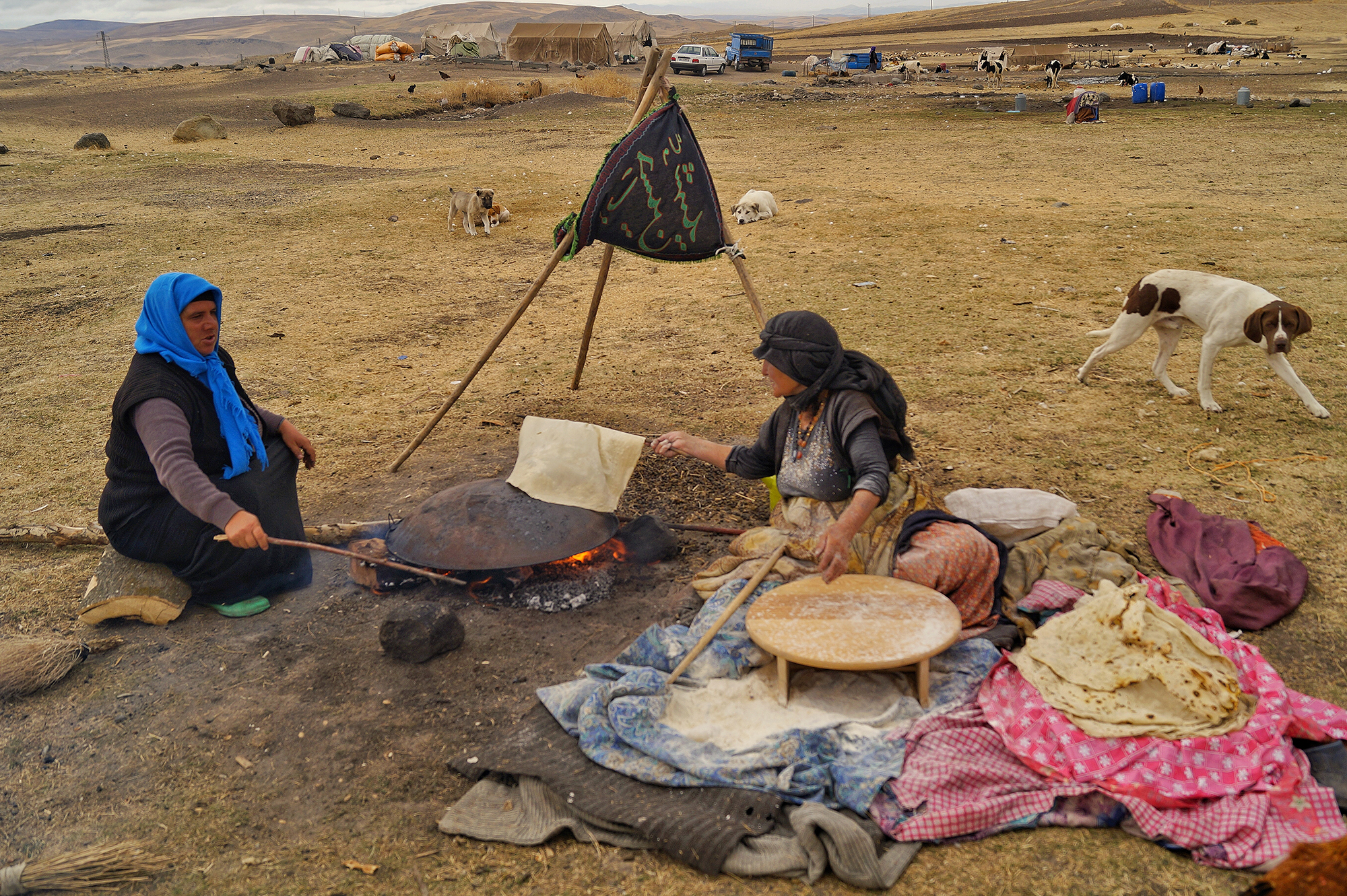 بانک ایران زمین