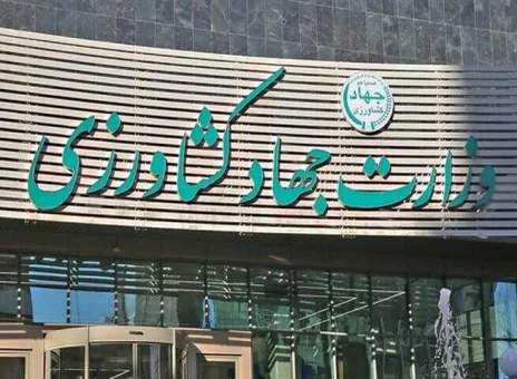 نهاده های دامی