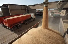 نهاده های دامی