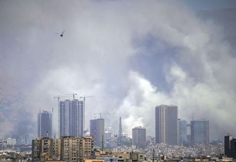 محیط زیست جنگ