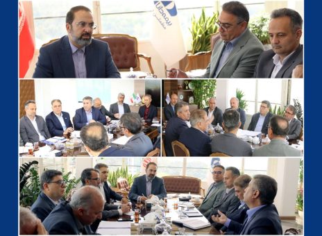 تاكید مدیرعامل بیمه دانا بر نقش محوری شعب در تحقق اهداف
