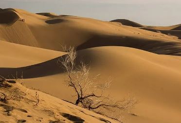 بیابان؛ بحران خاموش در ایران