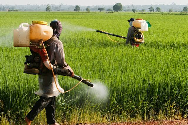 ابتلا به سرطان برای یک لقمه نان!