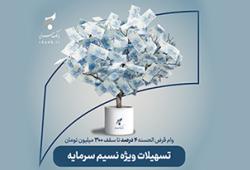 بانک سرمایه