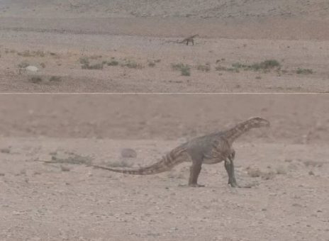 دایناسور در خراسان رضوی!!