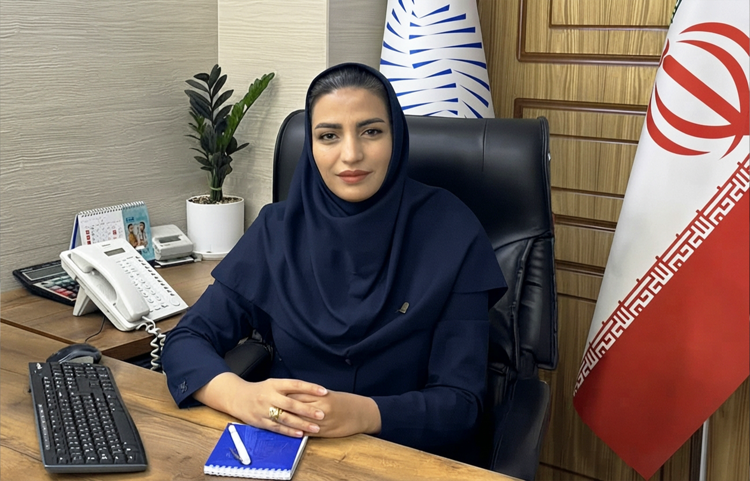 بیمه تجارت نو