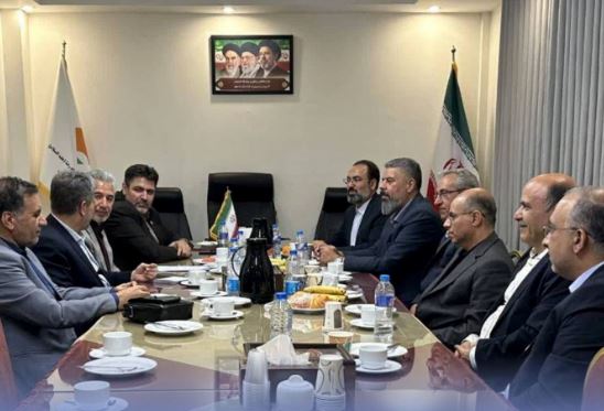 بیمه دانا