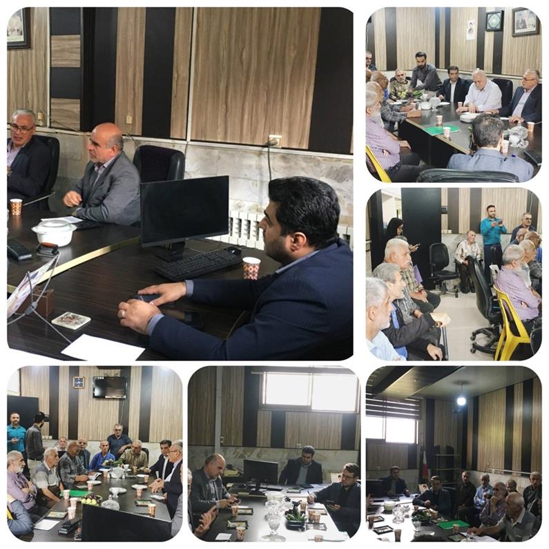 بیمه دی