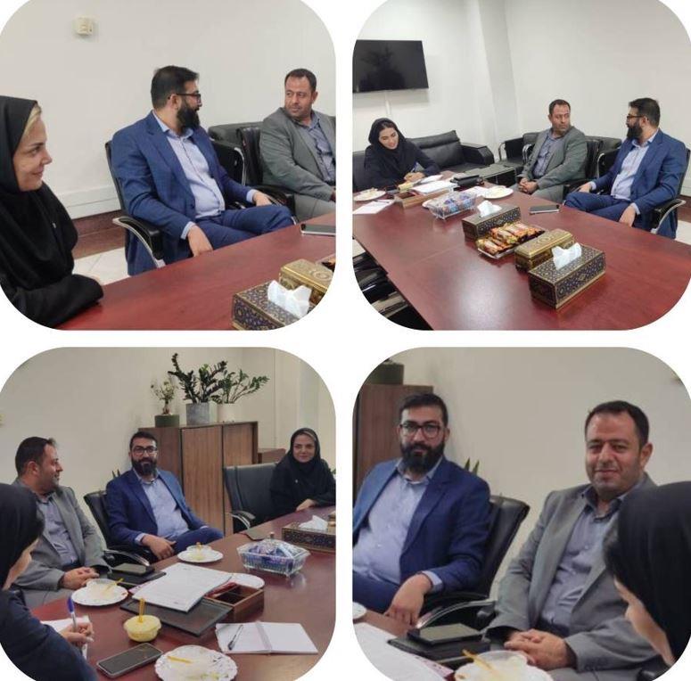 بیمه دی
