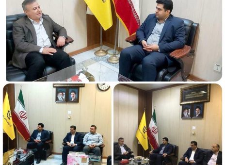 بیمه دی