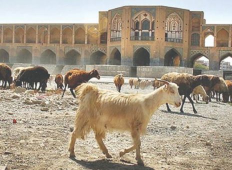 زاینده رود